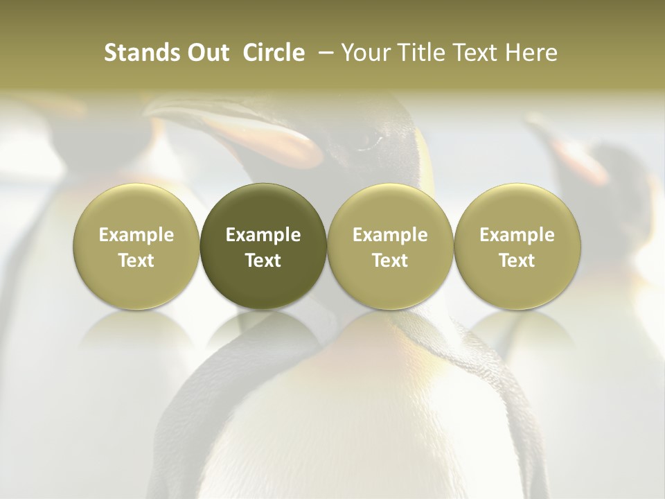 Stunning Cold Antarctic PowerPoint Template