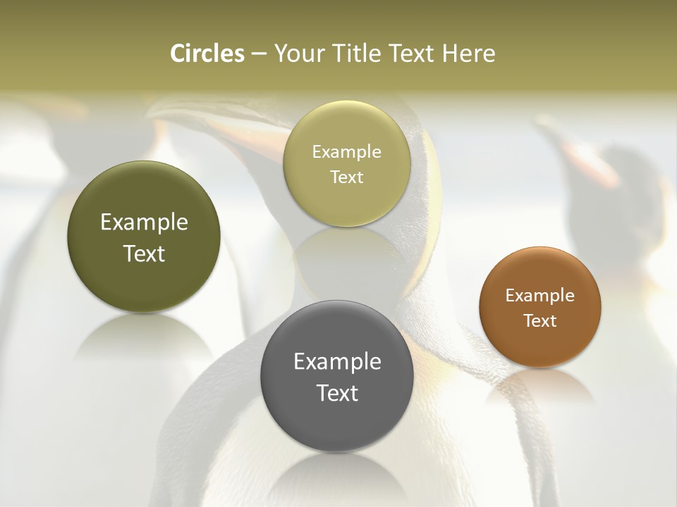 Stunning Cold Antarctic PowerPoint Template