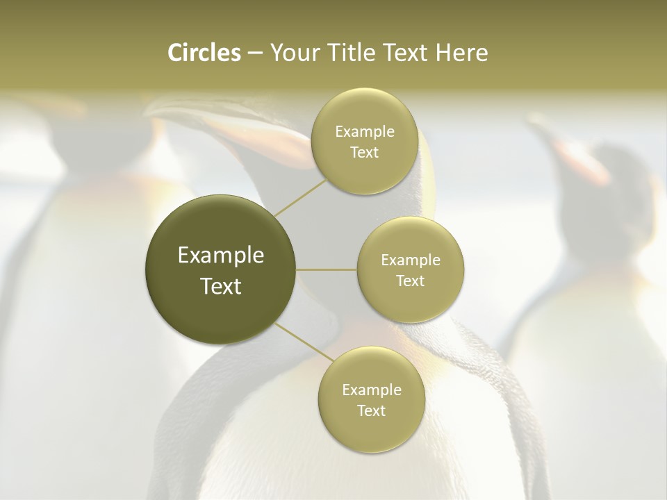 Stunning Cold Antarctic PowerPoint Template