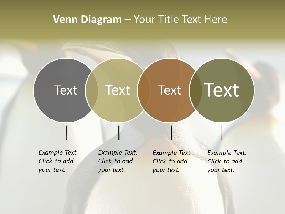 Stunning Cold Antarctic PowerPoint Template