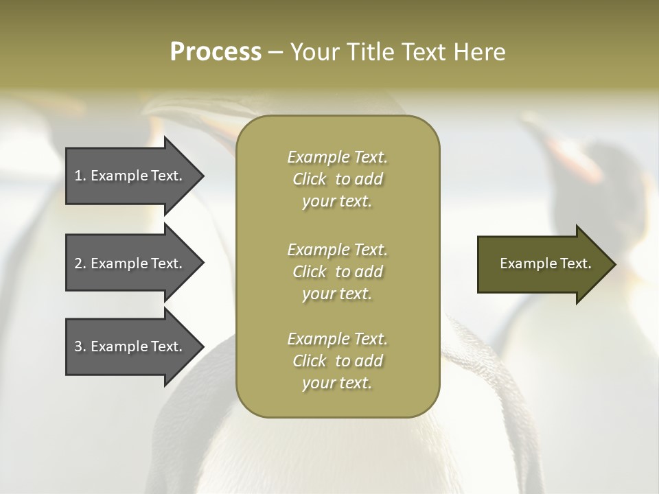 Stunning Cold Antarctic PowerPoint Template