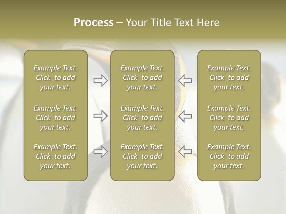 Stunning Cold Antarctic PowerPoint Template