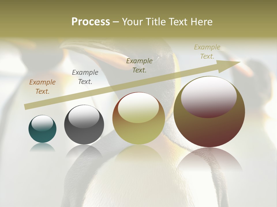 Stunning Cold Antarctic PowerPoint Template