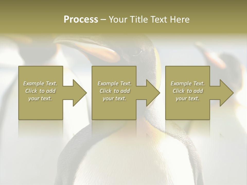 Stunning Cold Antarctic PowerPoint Template