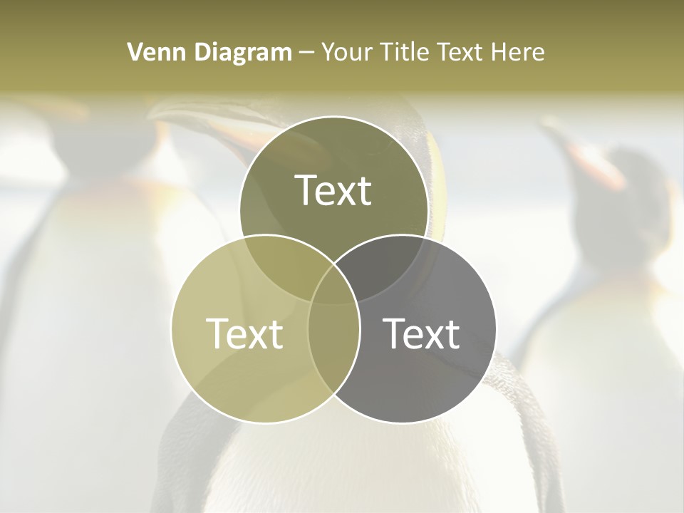 Stunning Cold Antarctic PowerPoint Template