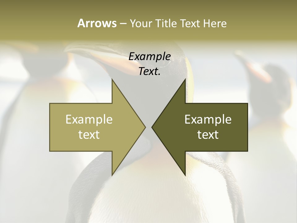 Stunning Cold Antarctic PowerPoint Template