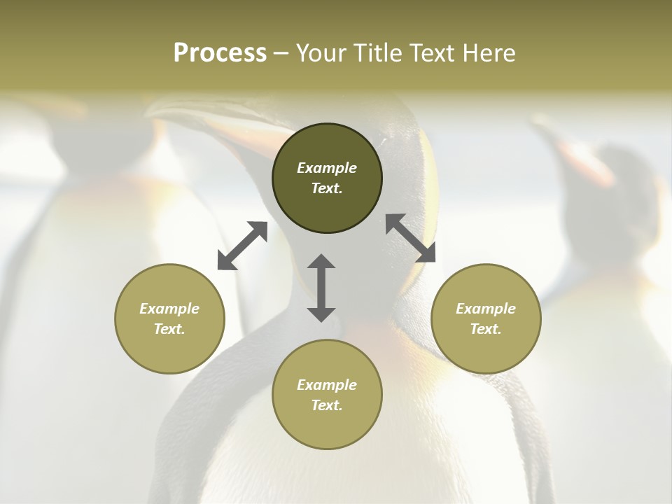 Stunning Cold Antarctic PowerPoint Template