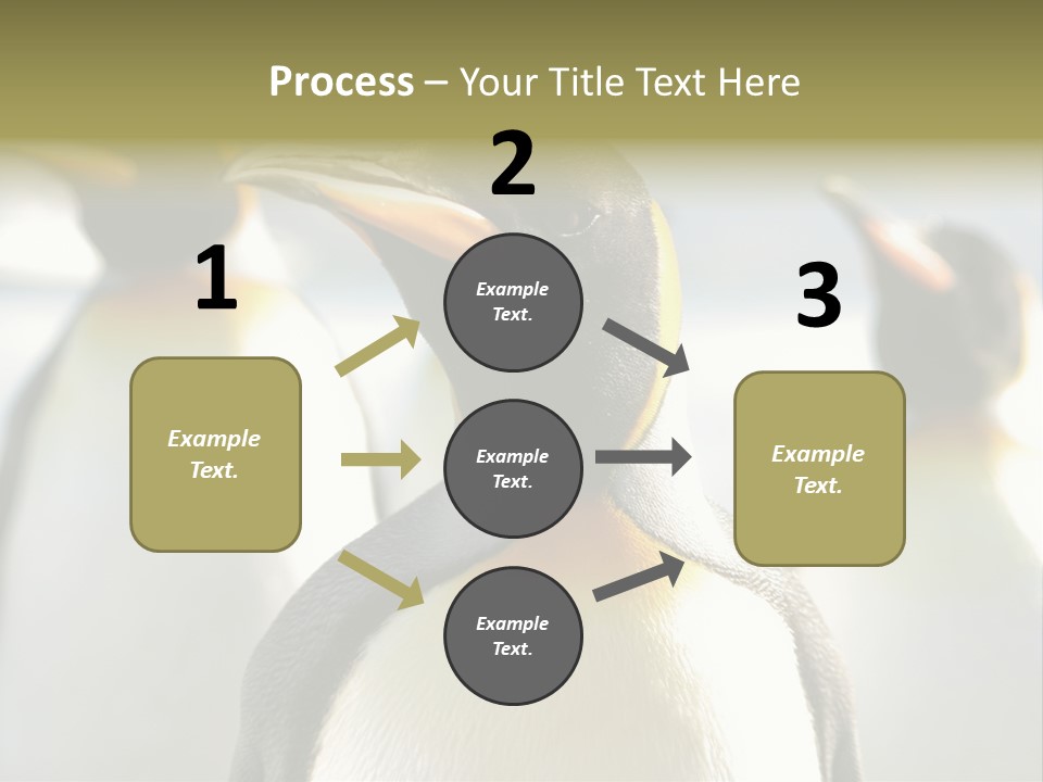 Stunning Cold Antarctic PowerPoint Template