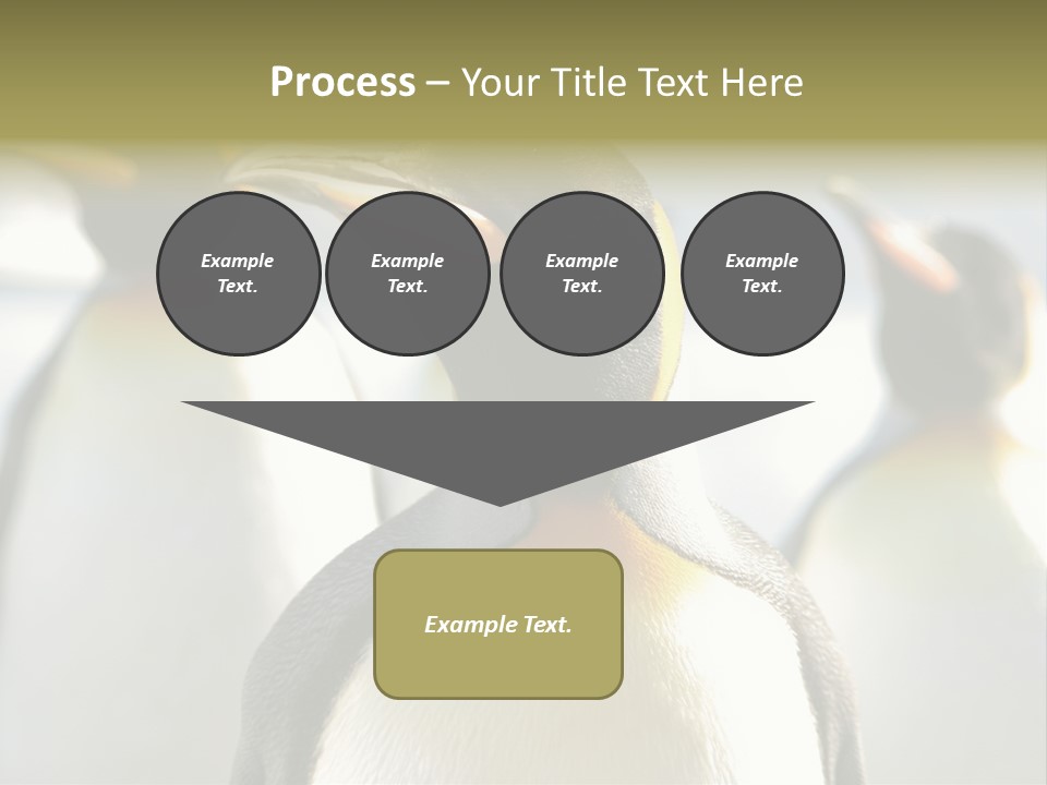 Stunning Cold Antarctic PowerPoint Template