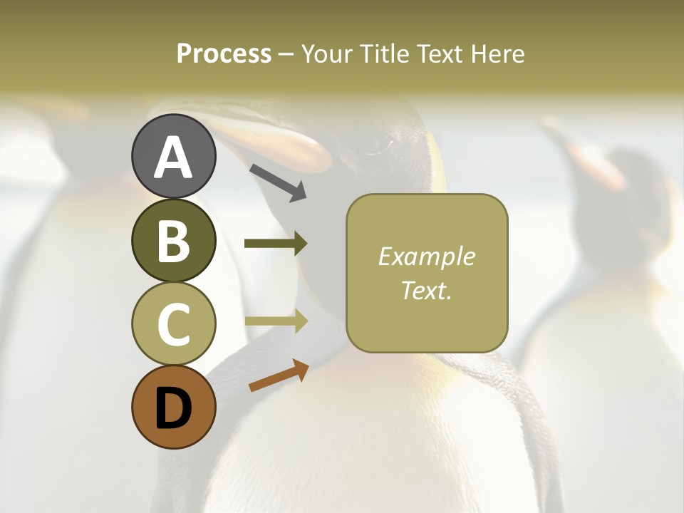 Stunning Cold Antarctic PowerPoint Template