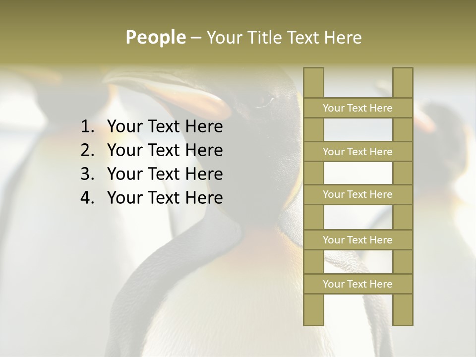 Stunning Cold Antarctic PowerPoint Template