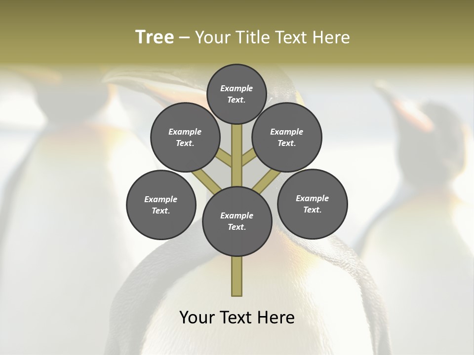 Stunning Cold Antarctic PowerPoint Template