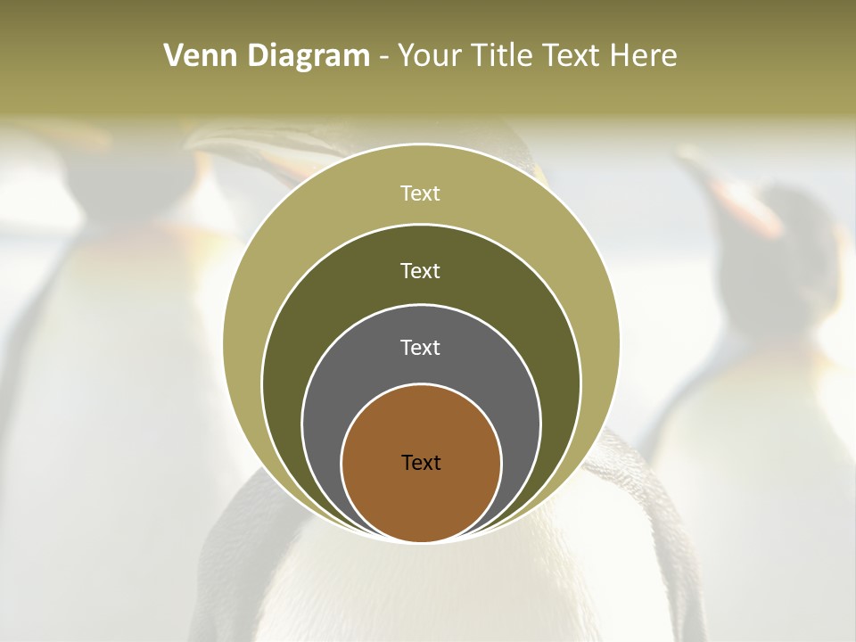 Stunning Cold Antarctic PowerPoint Template
