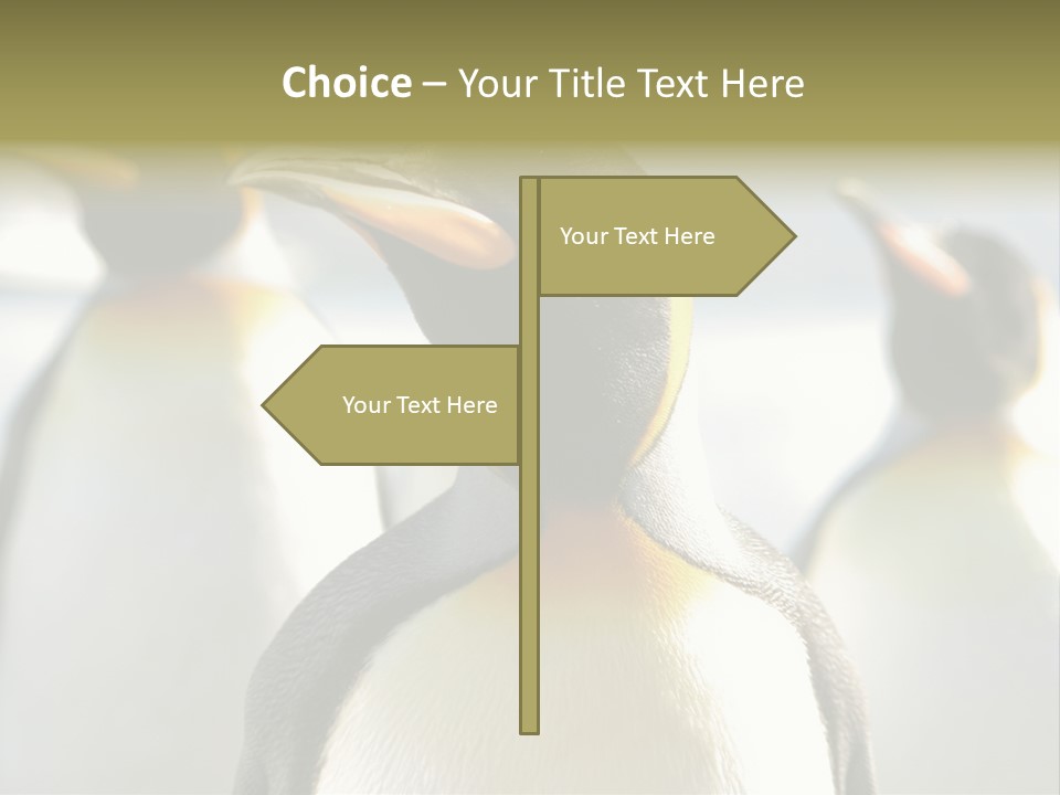 Stunning Cold Antarctic PowerPoint Template