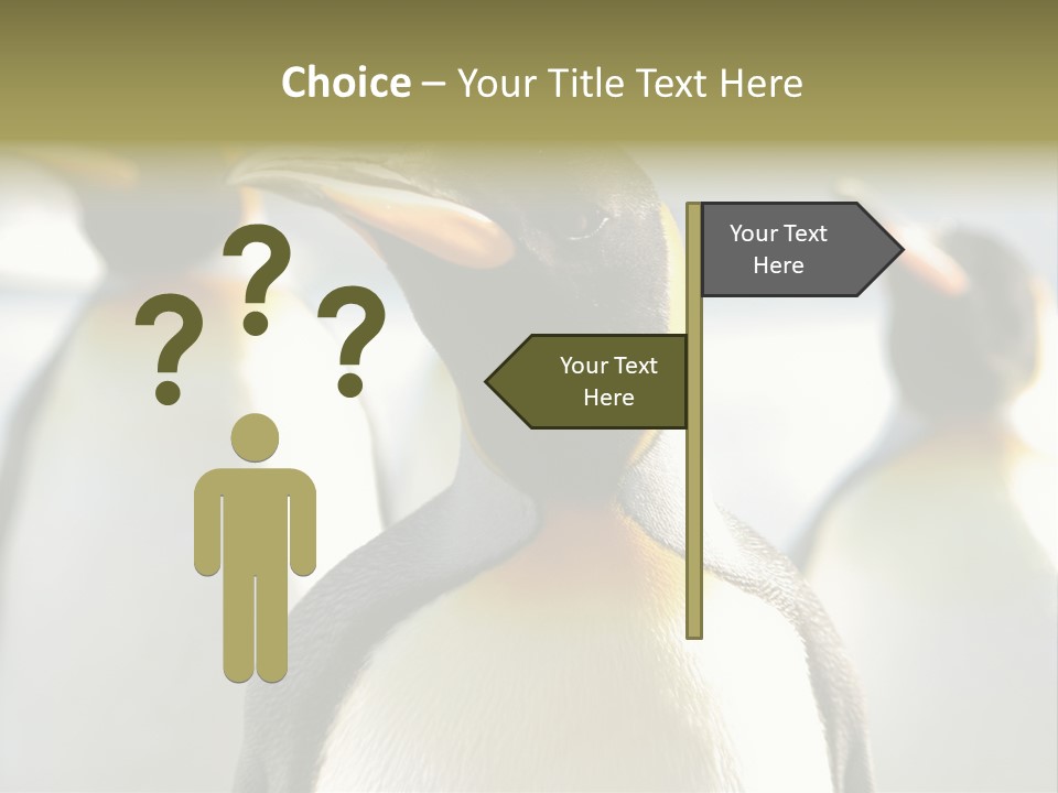 Stunning Cold Antarctic PowerPoint Template