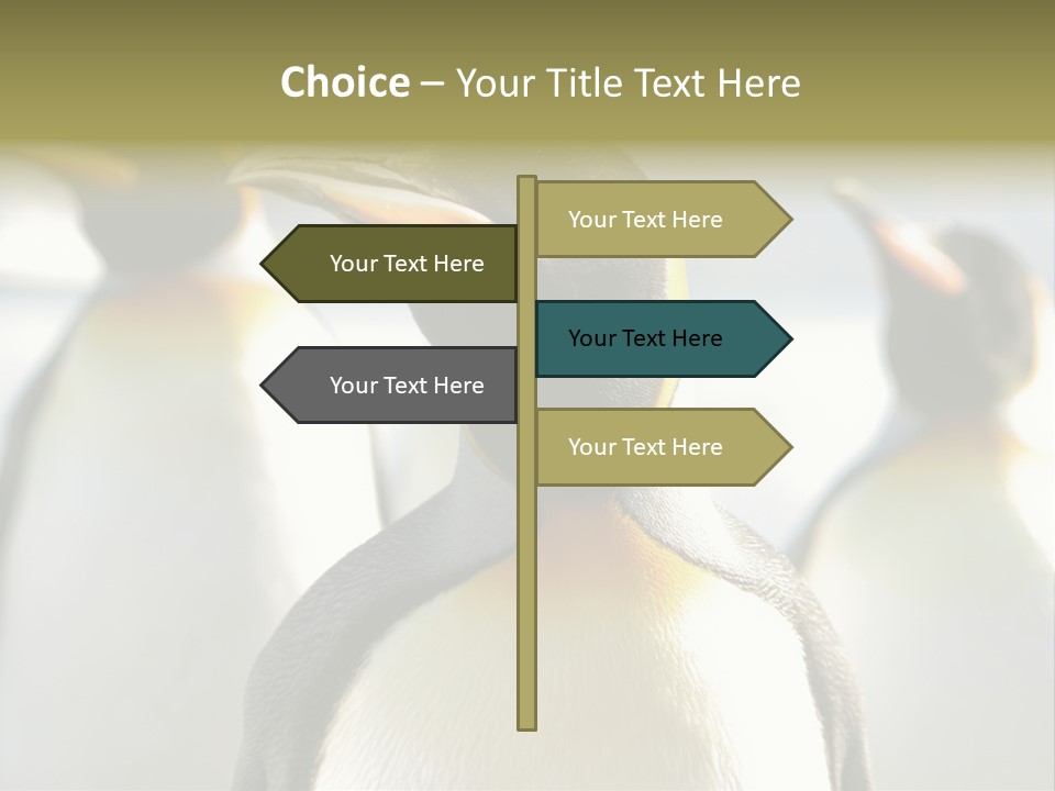 Stunning Cold Antarctic PowerPoint Template