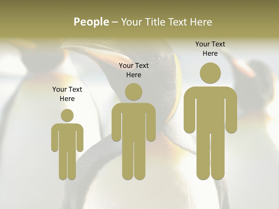 Stunning Cold Antarctic PowerPoint Template