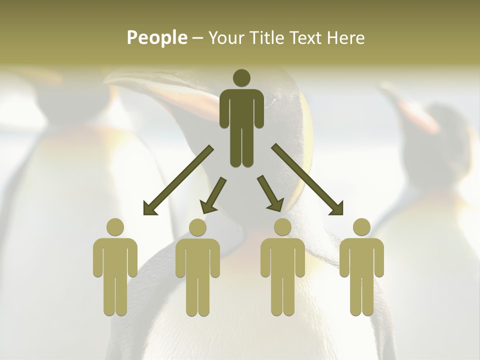 Stunning Cold Antarctic PowerPoint Template