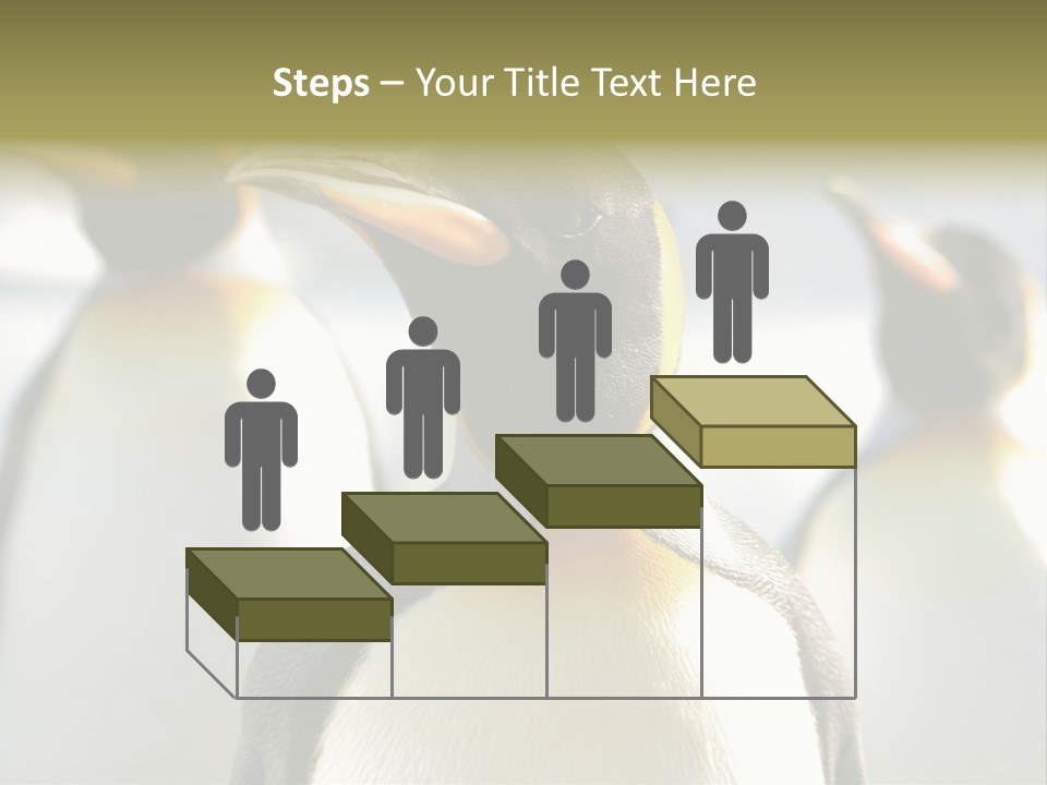 Stunning Cold Antarctic PowerPoint Template