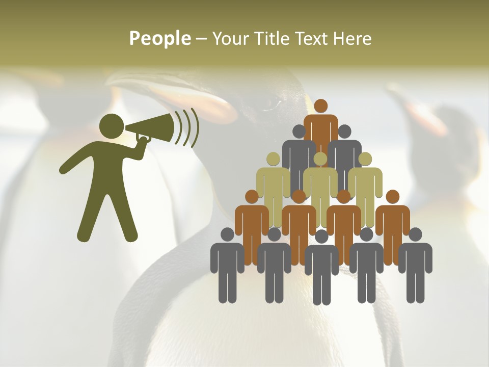 Stunning Cold Antarctic PowerPoint Template