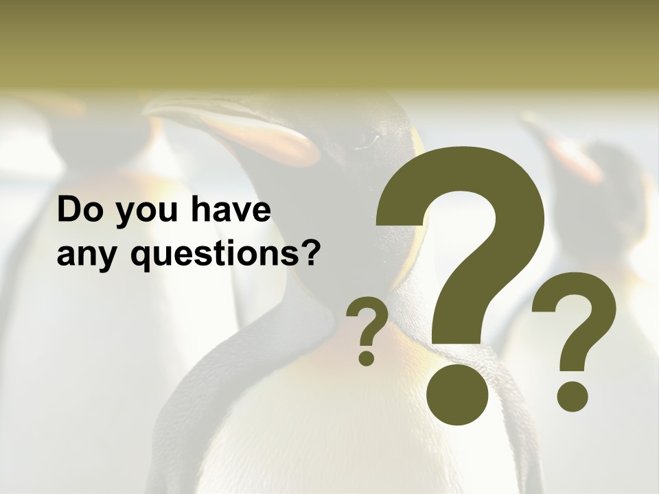 Stunning Cold Antarctic PowerPoint Template