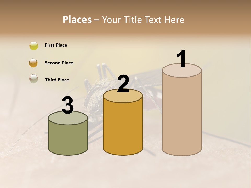 Sucking Carrier Sting PowerPoint Template