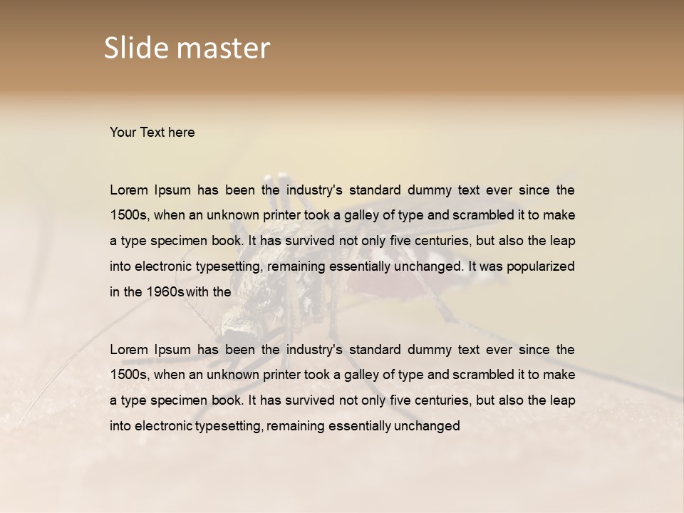 Sucking Carrier Sting PowerPoint Template