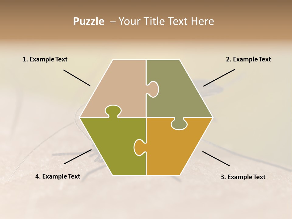 Sucking Carrier Sting PowerPoint Template