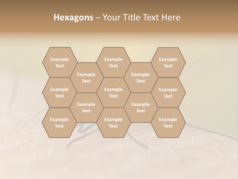 Sucking Carrier Sting PowerPoint Template