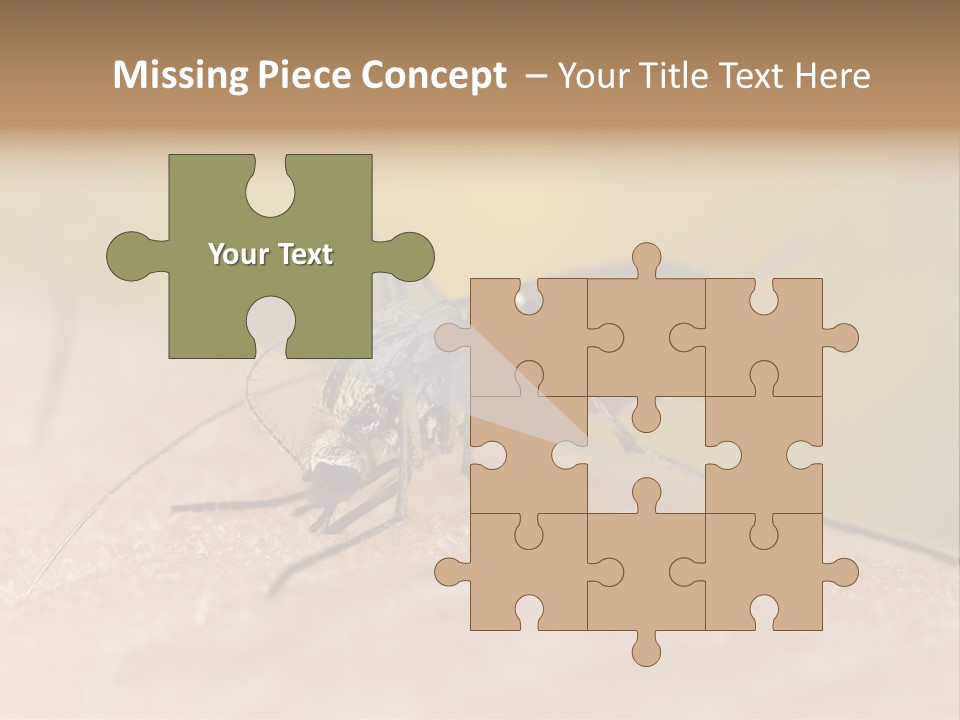 Sucking Carrier Sting PowerPoint Template