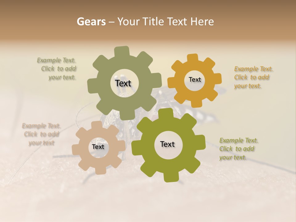 Sucking Carrier Sting PowerPoint Template