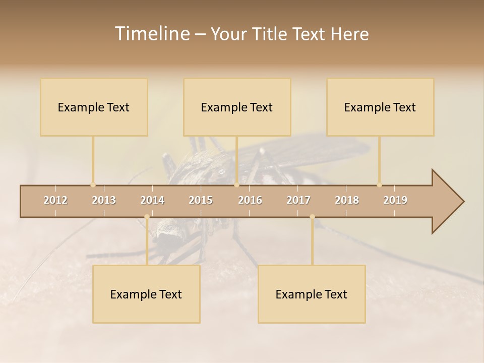 Sucking Carrier Sting PowerPoint Template