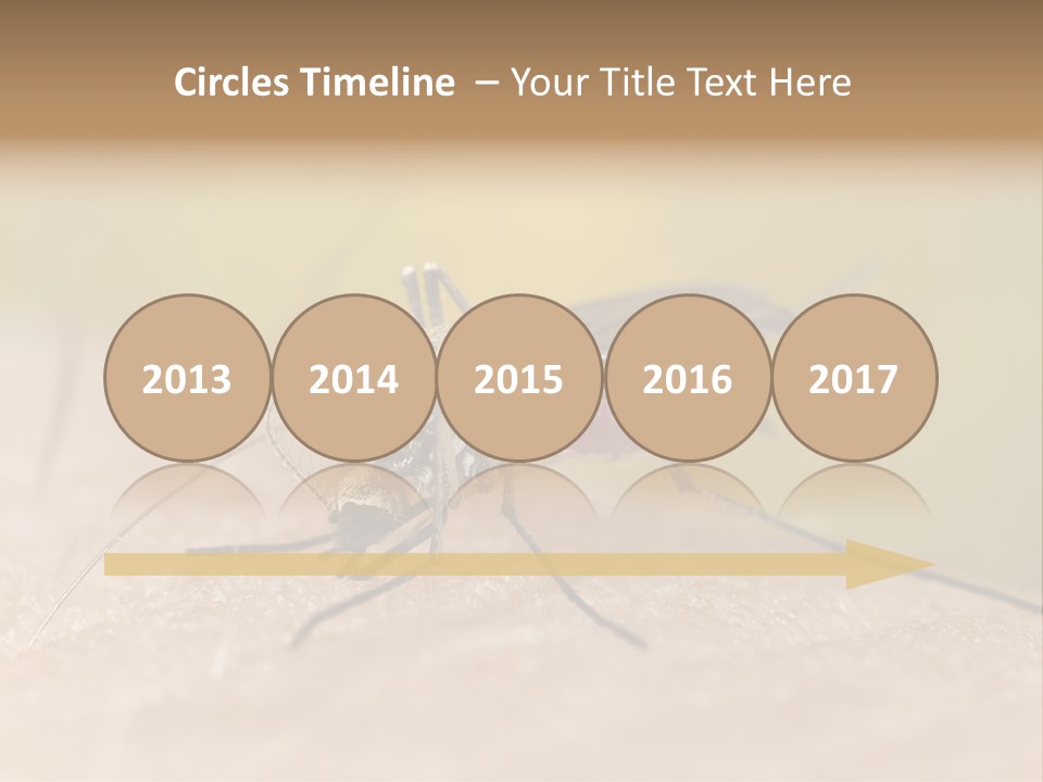 Sucking Carrier Sting PowerPoint Template