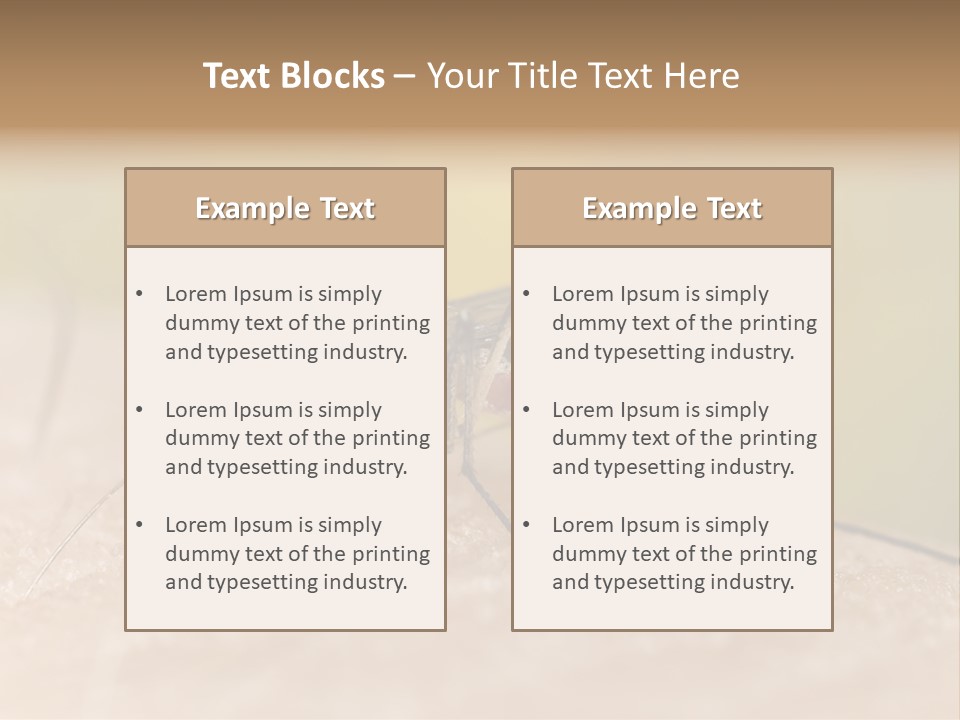 Sucking Carrier Sting PowerPoint Template