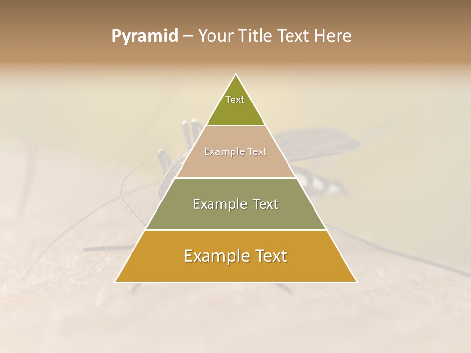Sucking Carrier Sting PowerPoint Template