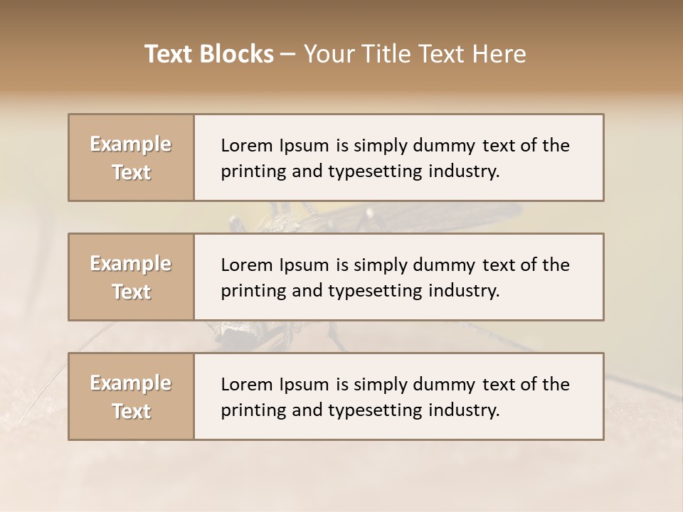 Sucking Carrier Sting PowerPoint Template