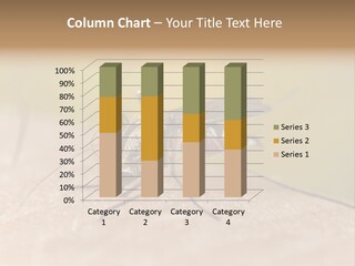 Sucking Carrier Sting PowerPoint Template