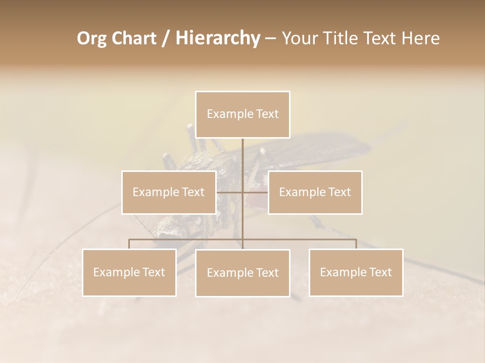 Sucking Carrier Sting PowerPoint Template