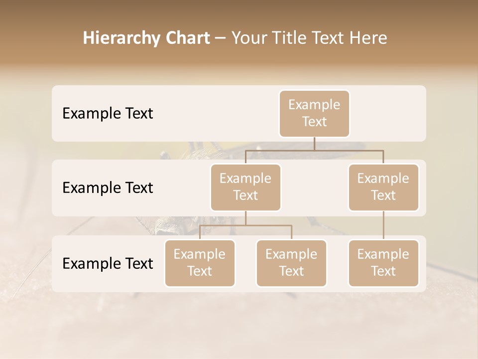 Sucking Carrier Sting PowerPoint Template