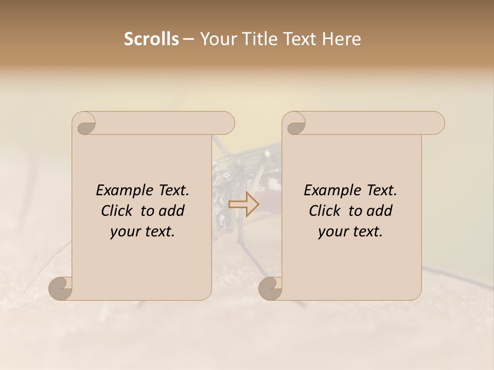 Sucking Carrier Sting PowerPoint Template