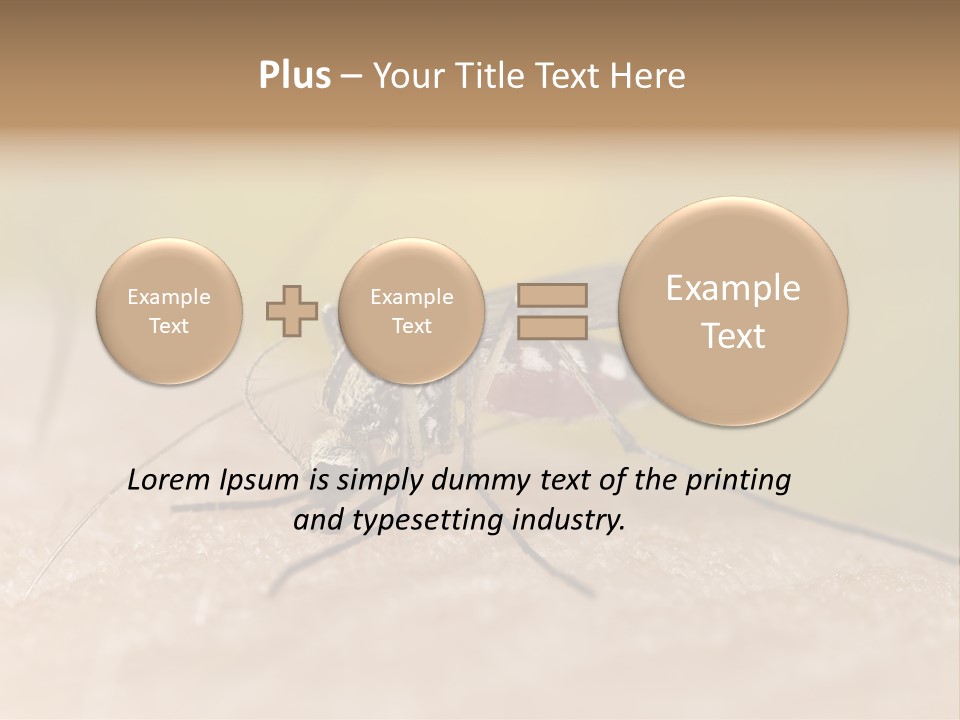 Sucking Carrier Sting PowerPoint Template