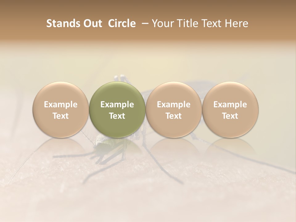 Sucking Carrier Sting PowerPoint Template