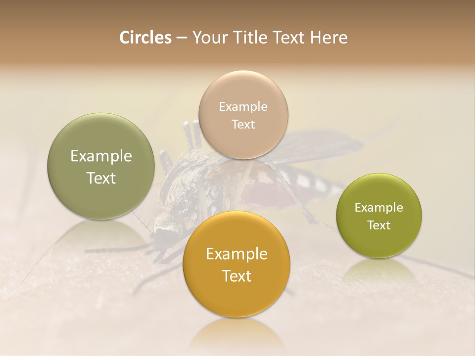 Sucking Carrier Sting PowerPoint Template