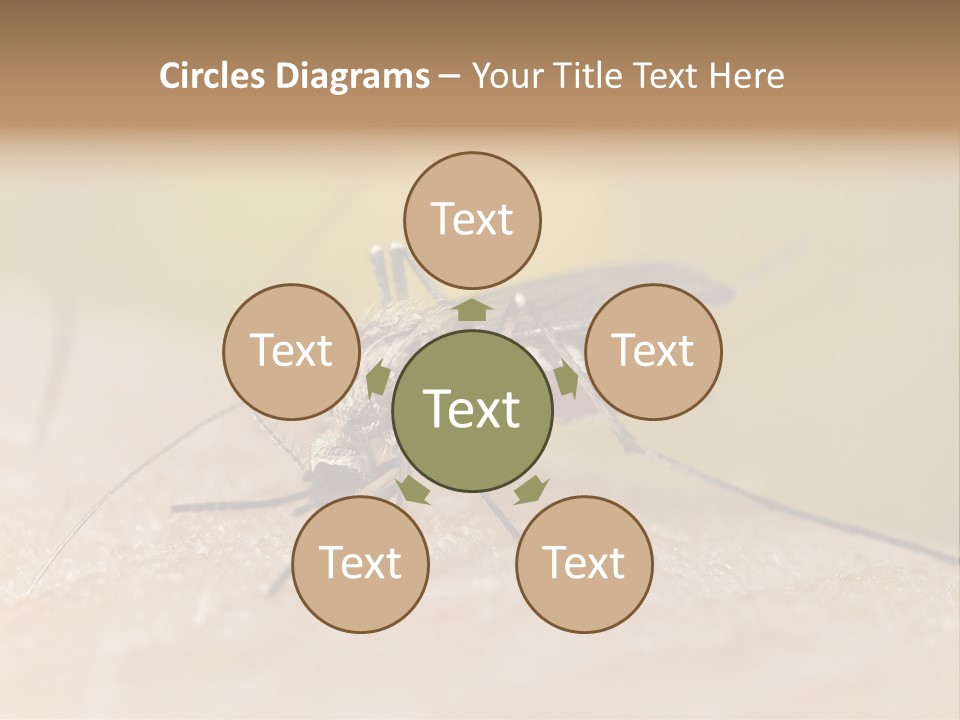 Sucking Carrier Sting PowerPoint Template