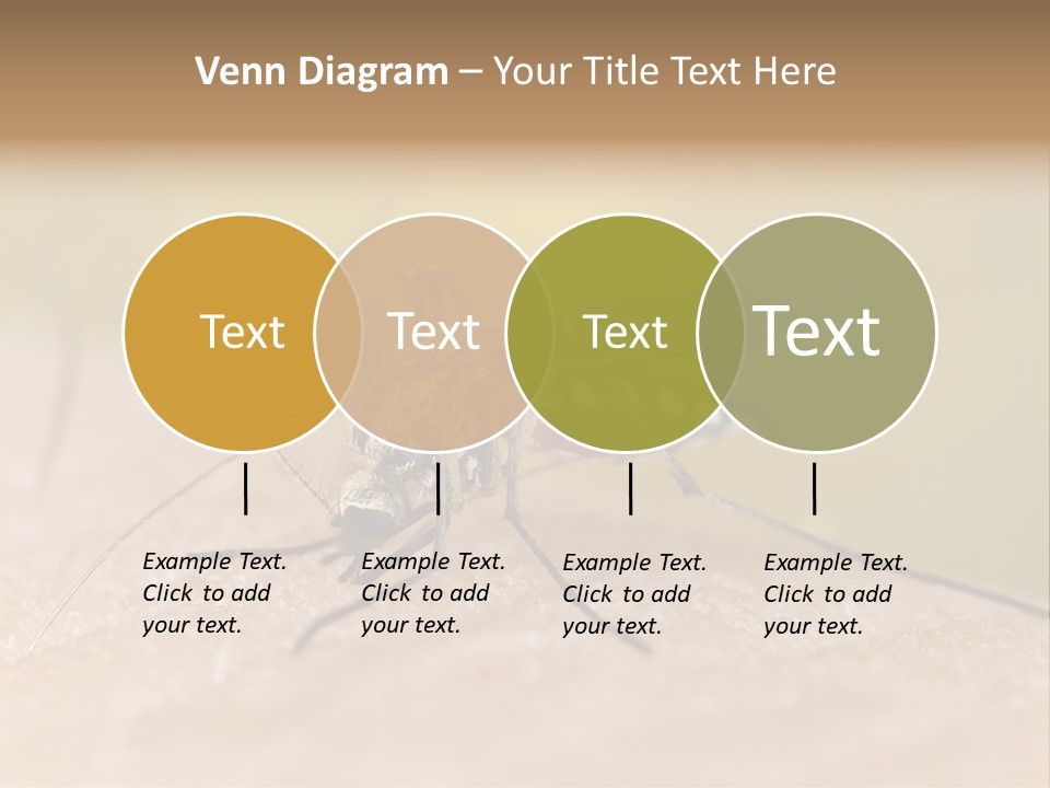 Sucking Carrier Sting PowerPoint Template