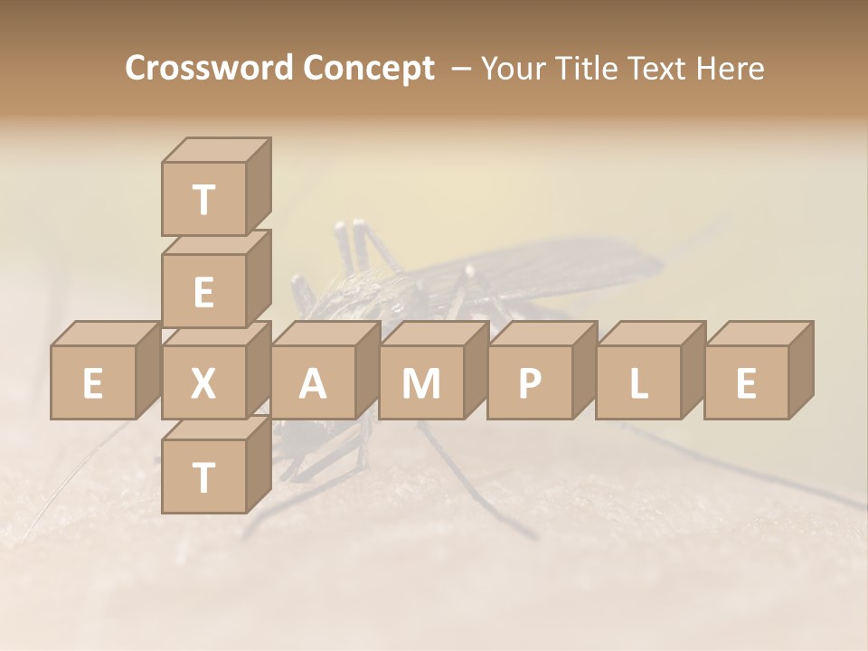 Sucking Carrier Sting PowerPoint Template