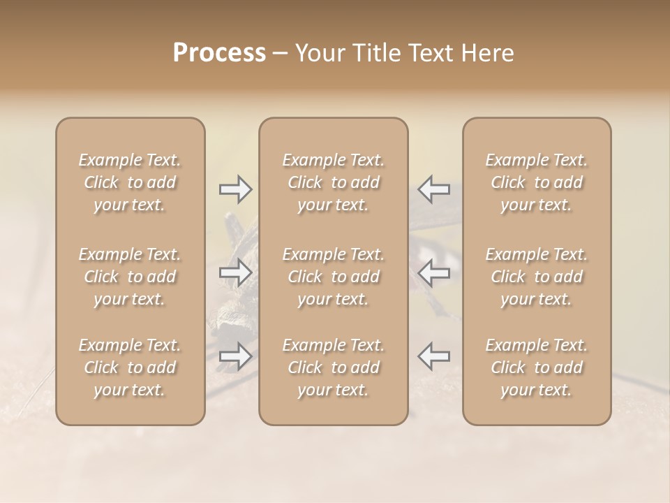 Sucking Carrier Sting PowerPoint Template