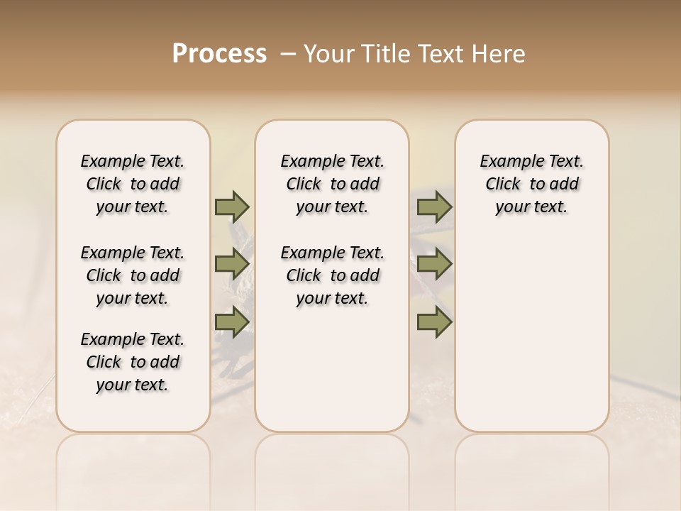 Sucking Carrier Sting PowerPoint Template