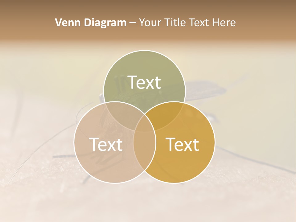 Sucking Carrier Sting PowerPoint Template