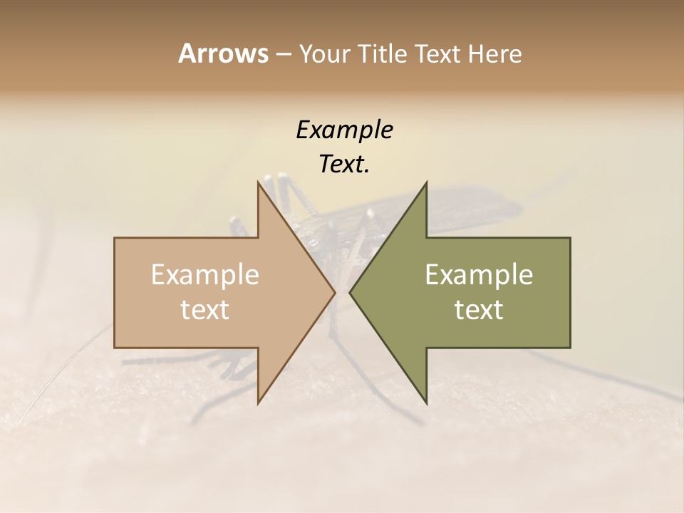 Sucking Carrier Sting PowerPoint Template